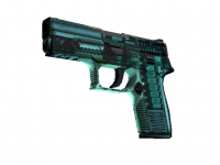 P250 X-Ray
